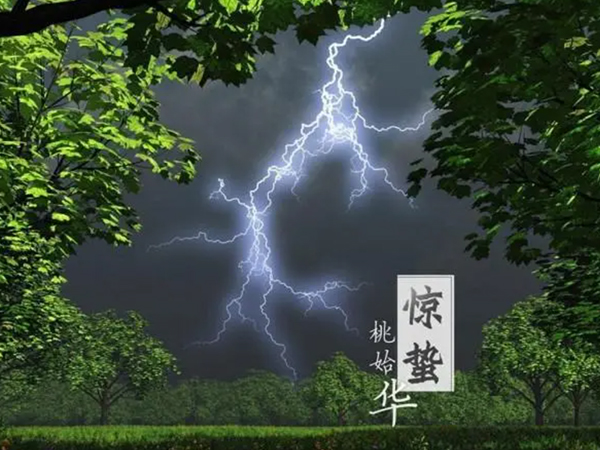 金環電器