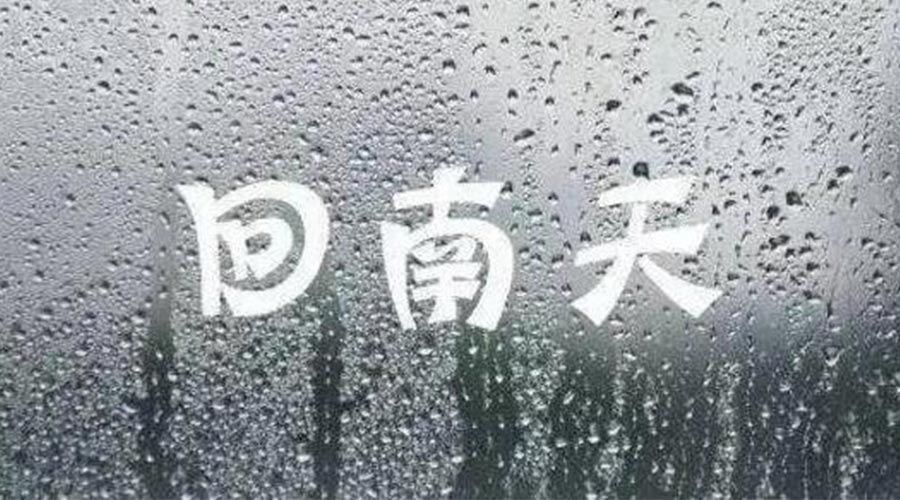 潮濕天來襲！家用衣物烘干機一招清除衣物上霉臭味
