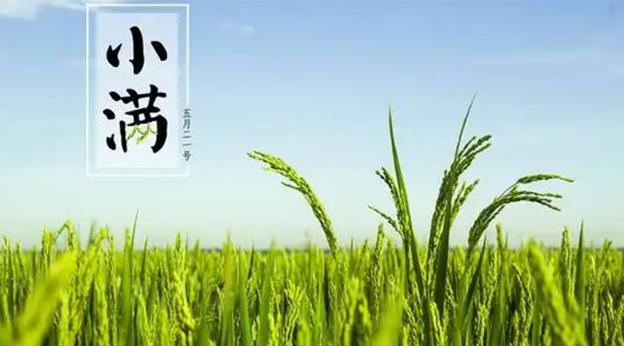 小滿時節！金環電器提醒大家要注意的事項