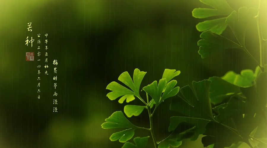 芒種時(shí)節(jié)！金環(huán)電器提醒大家的注意事項(xiàng)