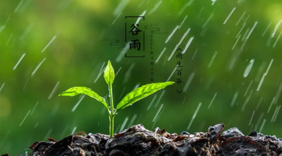 金環電器告訴你谷雨時節的注意事項