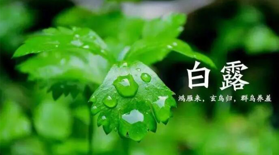 白露時節！金環電器提醒大家要注意的事項